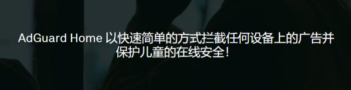 维哲信息网-安装adguard home过滤广告-维哲BOKS-信息化-OA-协同办公-财务ERP-WMS- CRM-OMS-流程维哲BOKS