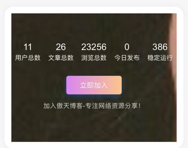 维哲信息网-WordPress主题添加底部统计信息模块小工具-维哲BOKS-信息化-OA-协同办公-财务ERP-WMS- CRM-OMS-流程维哲BOKS
