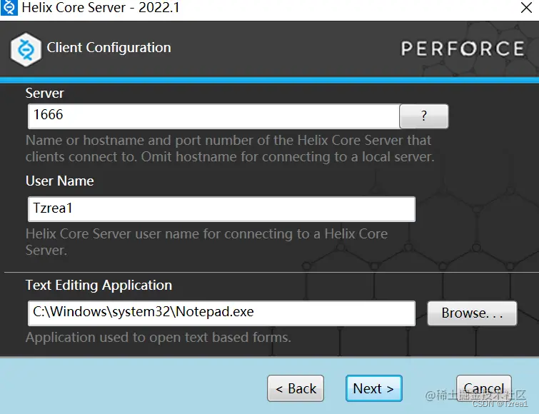 UnrealEngine虚幻项目的版本控制——Perforce(局域网协作)插图2 image