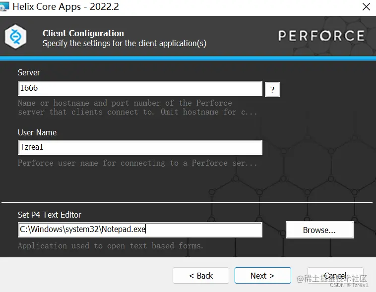 UnrealEngine虚幻项目的版本控制——Perforce(局域网协作)插图4 image